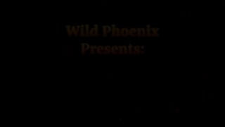 Wild Phoenix