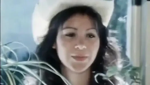 Классические порно DVD: Наездница выходного дня: часть 2