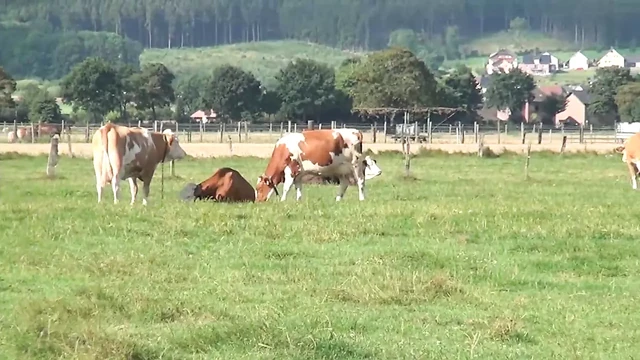 Hot sex in the German countryside 2 - Episode 7