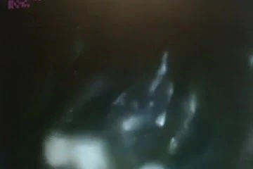 Senegalese has a real wet pussy