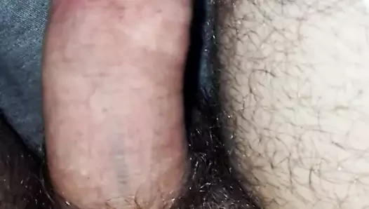 penis