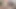 User video disturbed and he is Cum into the panties