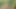 A walk in the woods ended with a sudden, very hot fuck - Porno español