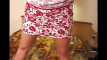 Pregled videozapisa