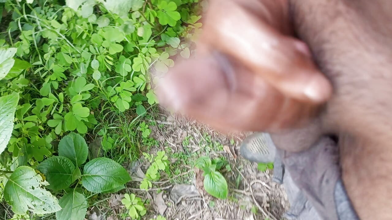 Indian cock stable stamina bbc masturbate
