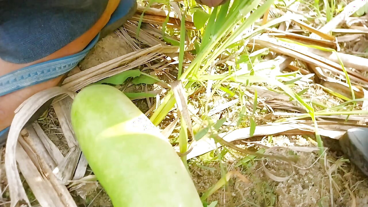 Wheat fields in mustard fields. Fuck my ass big cock vegiteble sex