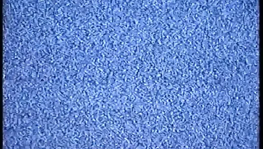 Permisi... Sir... volume 2 (film porno lengkap) DVD