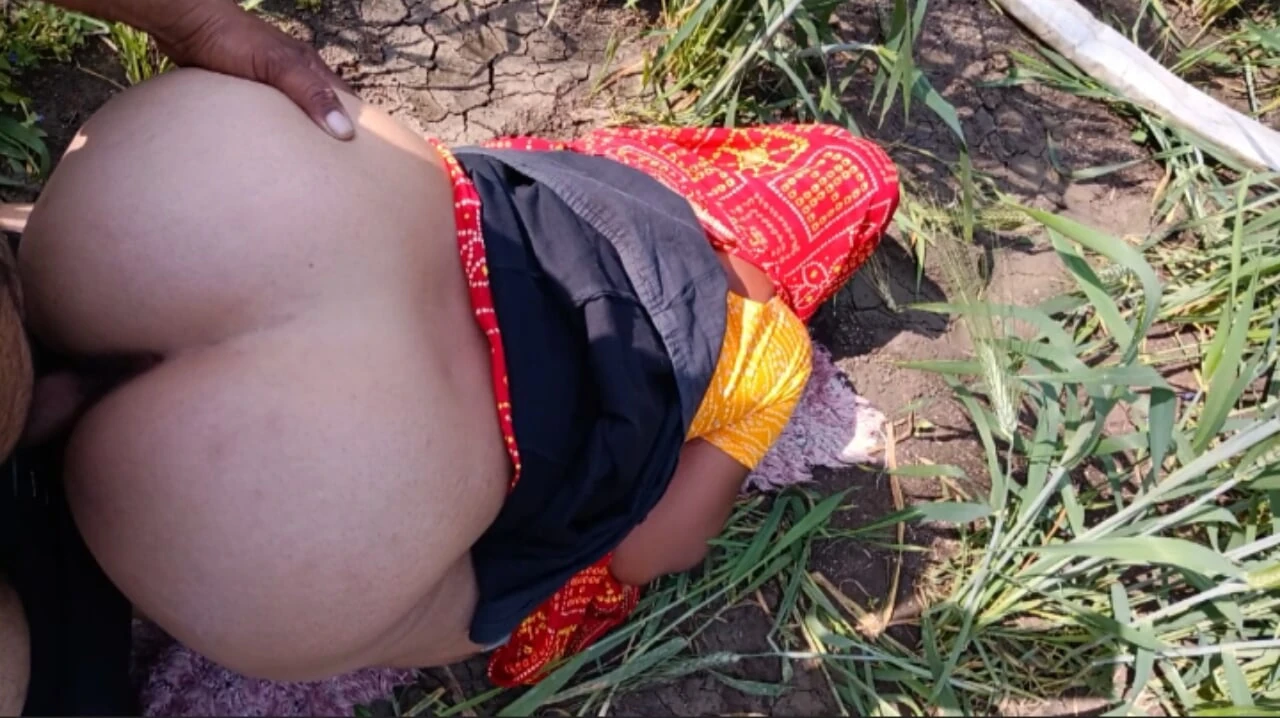 几天后，我在空旷的田野里操了我的大嫂，狗的风格，我的屁股被大声地操了。