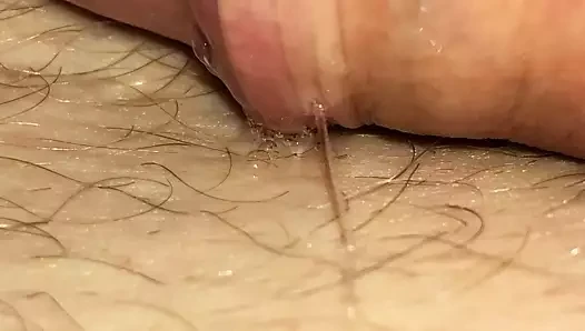 precum2