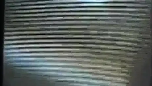 Pretty black lesbians pussy licking