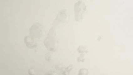 auf dem Tisch gespritzt - cum on table