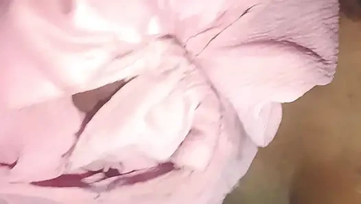 Crot di wajah kontol nyepong kontol dan mukanya dicrot sperma