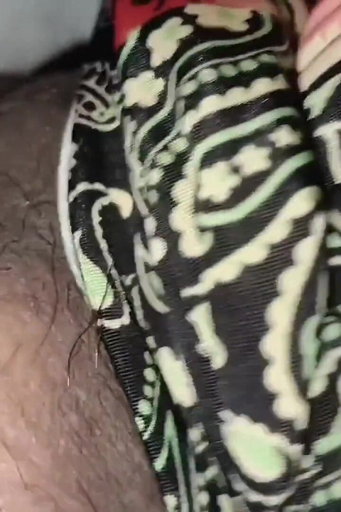 Wife Pussy Fuck Sex