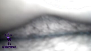 Black ब्रीडर्स 114