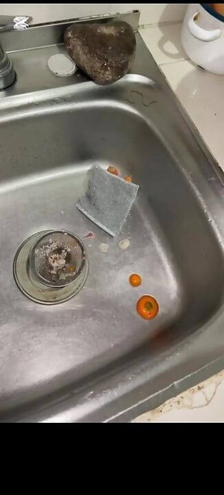 Schwägerin lutscht sehr gut