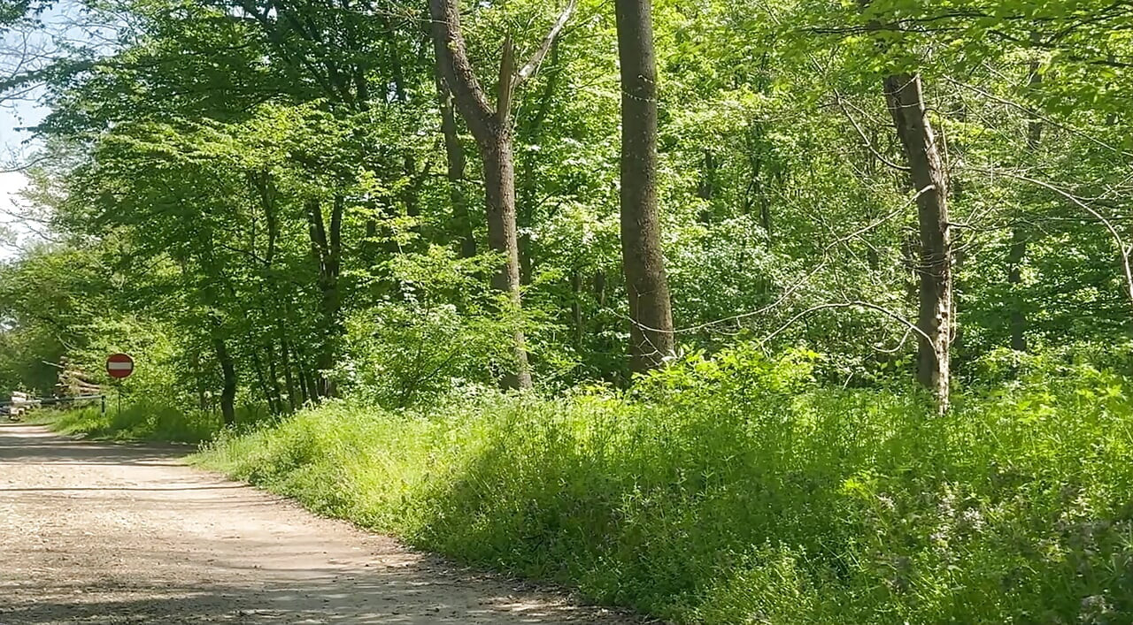 Pieprzona lub nr 1