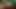 Bangladeşli teyze sikiliyor - yeni