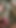 Cum, cumming, jizz, spunk, orgasm, cock, masturbation, mushroom head, hard cock, stroking, masturbating, wank, wanking, jerking off, cum ooze, close cum, sexual release, erection, thick cock, pleasure