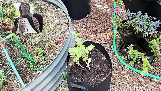 Moving My Plants Indoors