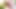 India Desi Local Village Teen Bhabhi Outdoor Xxx videos, Indian Beautiful Village Bhabhi Outdoor sex video