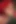 Lois MILF Redheads Sucking Cock (ai)
