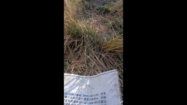 Indian Village Outdoor Highway Road side sex 2023