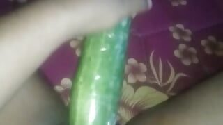 Rondborstige slet stopt komkommer in haar kut