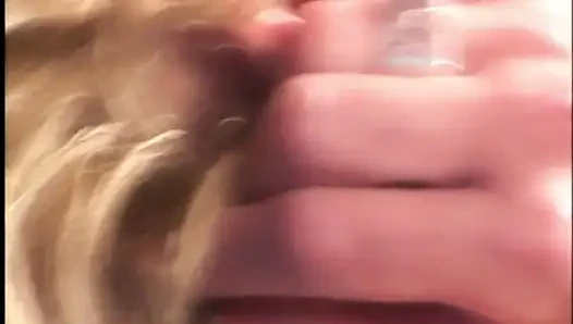 Harika ateşli orta yaşlı seksi kadınlar gece kulübünün melekleri
