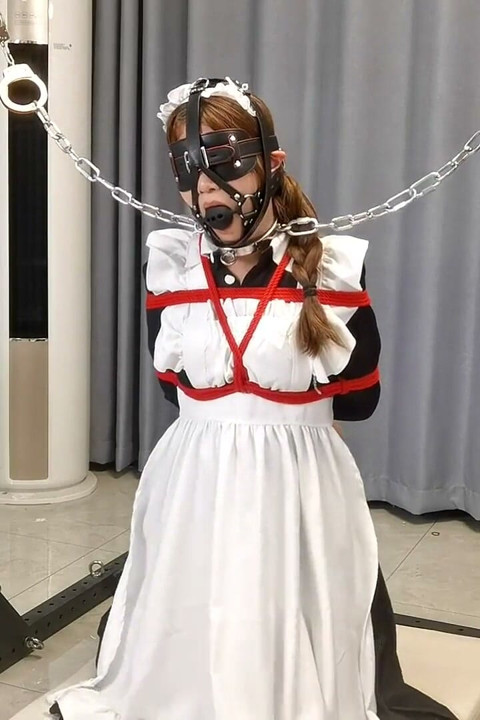 The Maid's Various Restraints