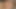Awesome Shemale Hot Bareback Sex