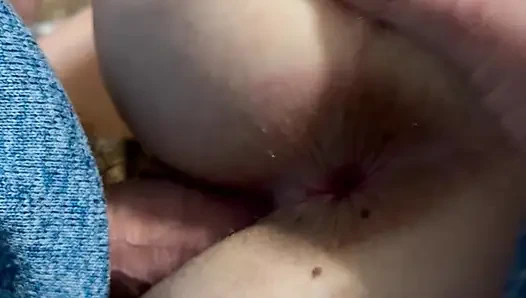 Verzweifeltes piggy wird benutzt