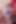 Pink Haired Amateur Teen Gives a Wonderful Blowjob