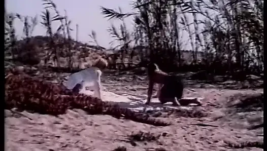 Harika vücutlu iki sarışın plajda şehvetli bir şekilde sikişiyor