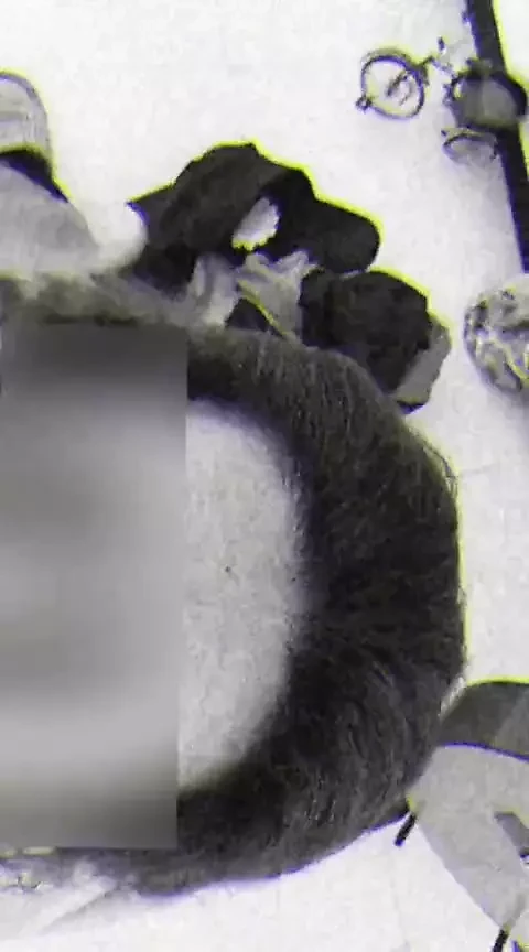 Pov, pelacur nyepong kontol