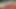I RECORD MY NEIGHBOR SEEING EACH OTHER AFTER BREAKFAST