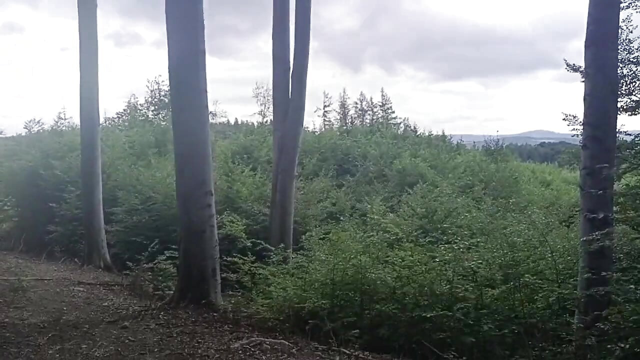 Between the Beeches: Rough Exhibition on Bare Wood