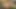 TOUGHLOVEX – Karl goes camping with Kylie Rocket