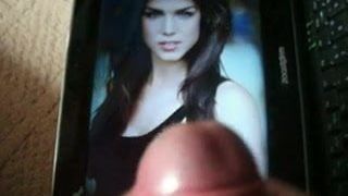tribute to marie avgeropoulos