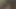 Der Nachbar war wieder Notgeil