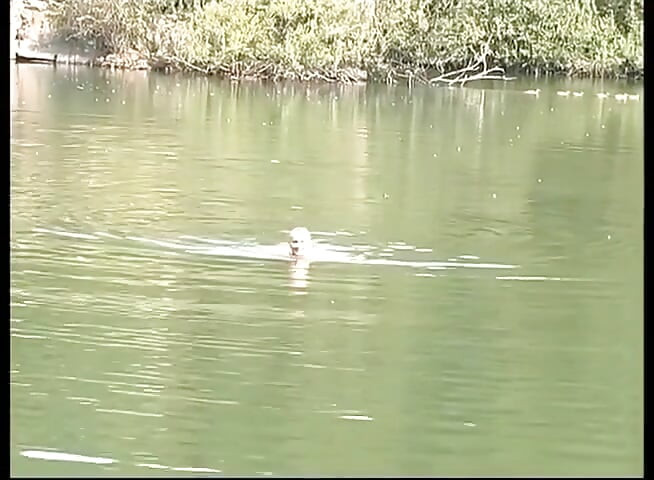 Top solo piss girl Tamara - Mega XXL Pissing