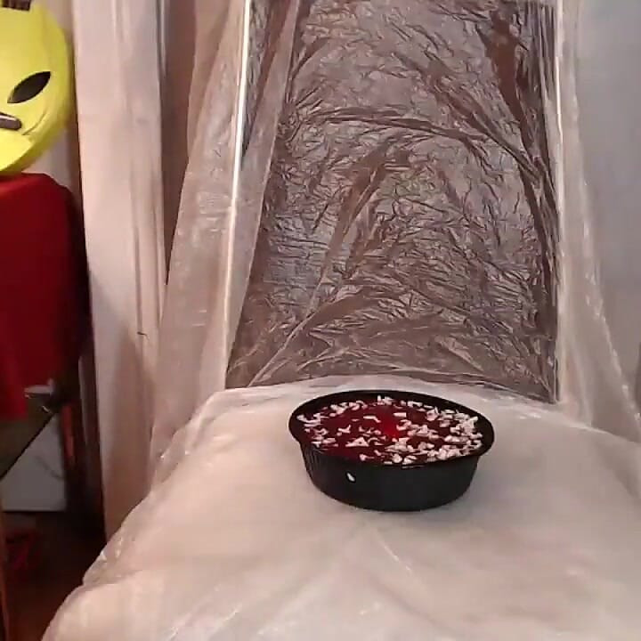 Camgirl with Big Ass Sits on Cake Live