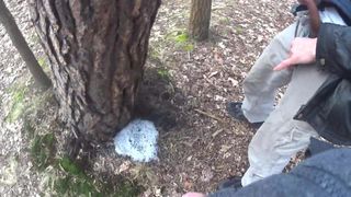 二人の友人が木の下で大きな水たまりを一緒に放尿