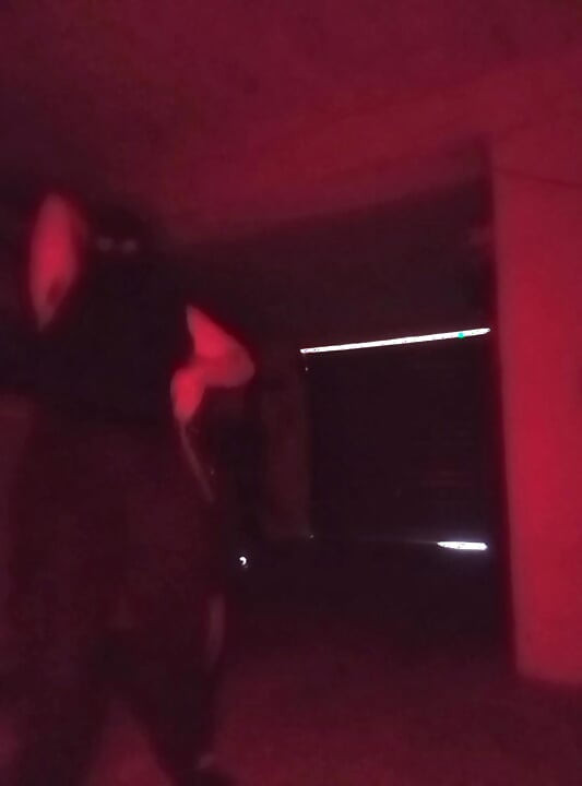 Habitación roja (bdsm y kink