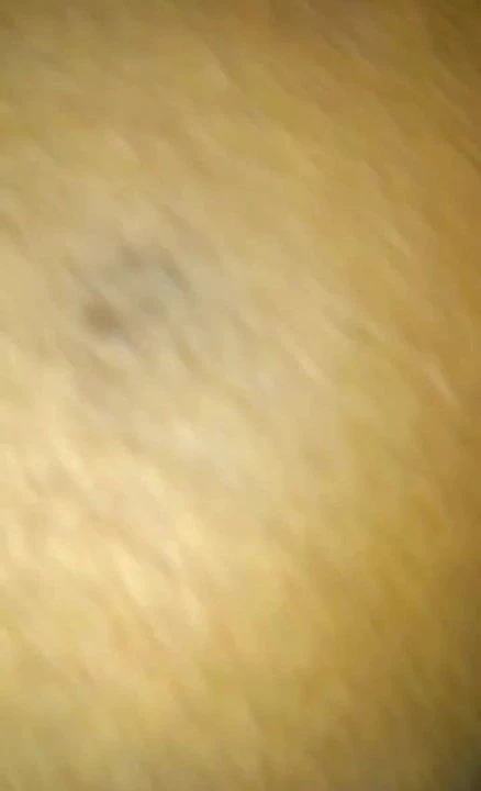 Ride and Cum