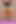 Oiled Legs and Calves Volume 2