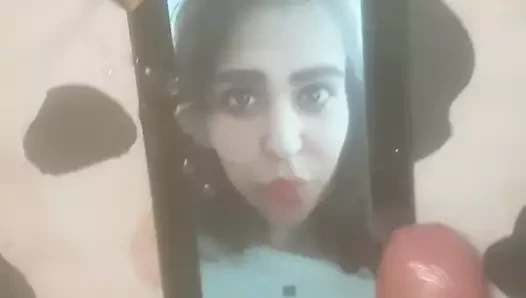 Snom için haraç