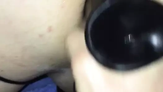 Korkak kedi Warmed yukarı için almak gerçek horoz