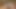 Tempting brunette knows how to please a guy's dong