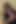 Asian Hairy Wet Pussies Fucked