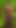 Granny Bambi: Old Forest Slut Dildo Blacked to Orgasm